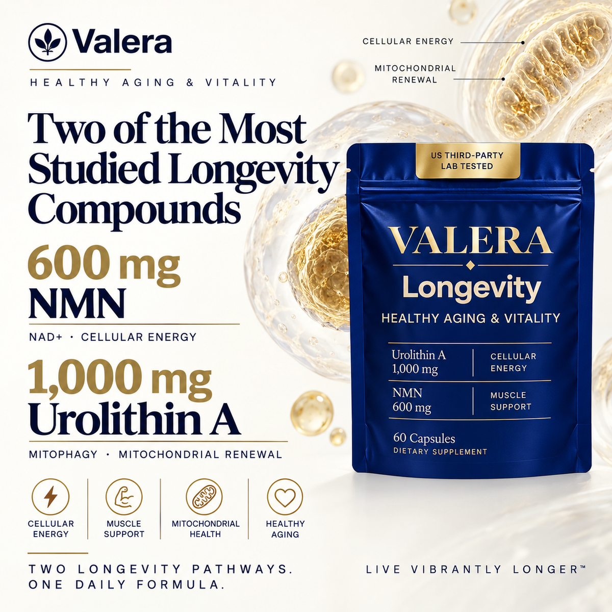 Valera Longevity NMN 600 mg and Urolithin A 1,000 mg Vegan Capsules, 60 Count