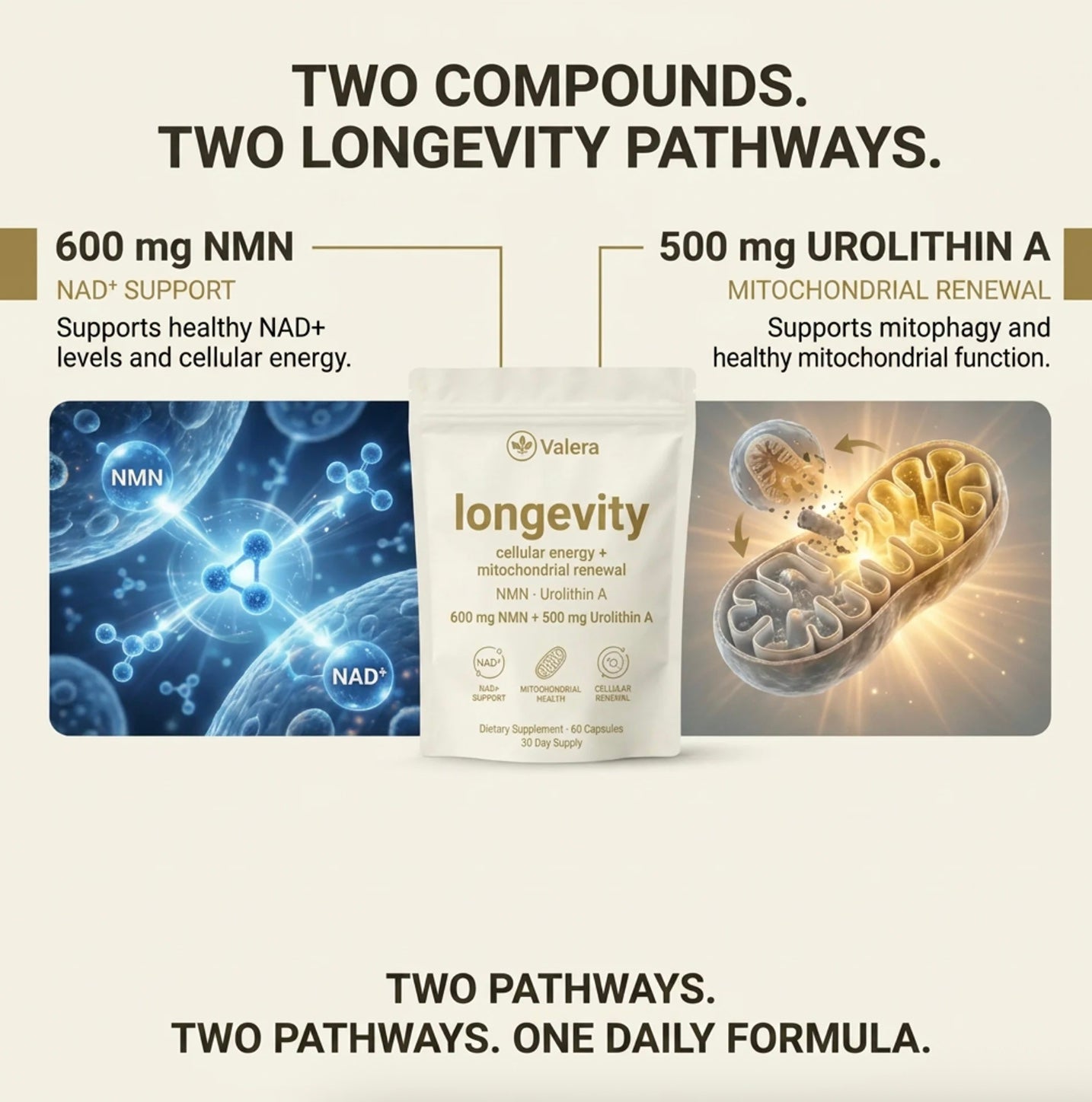 Valera Longevity (90-Day Supply)