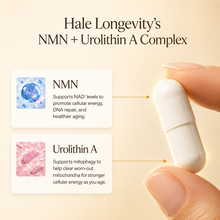 Hale Longevity
